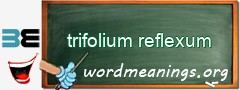 WordMeaning blackboard for trifolium reflexum